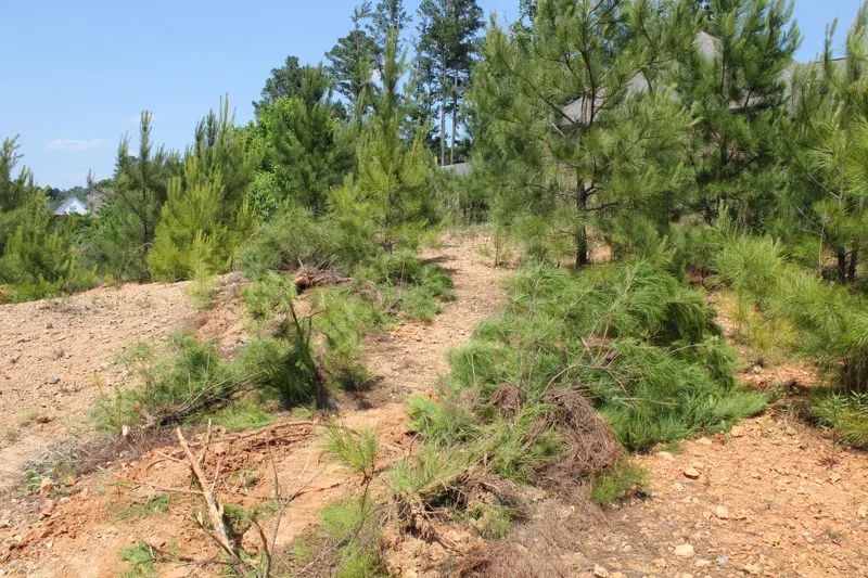 Grading & Excavating McCalla, AL — photo 20